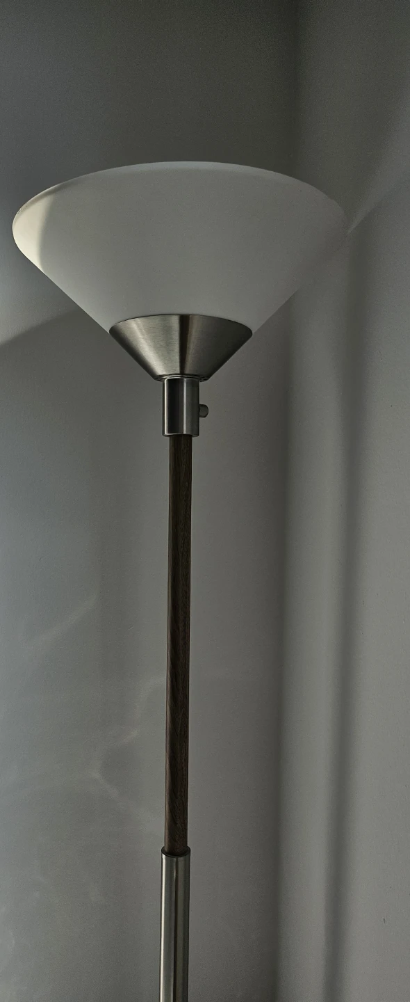Modern Floor Lamp with Wood Accent
