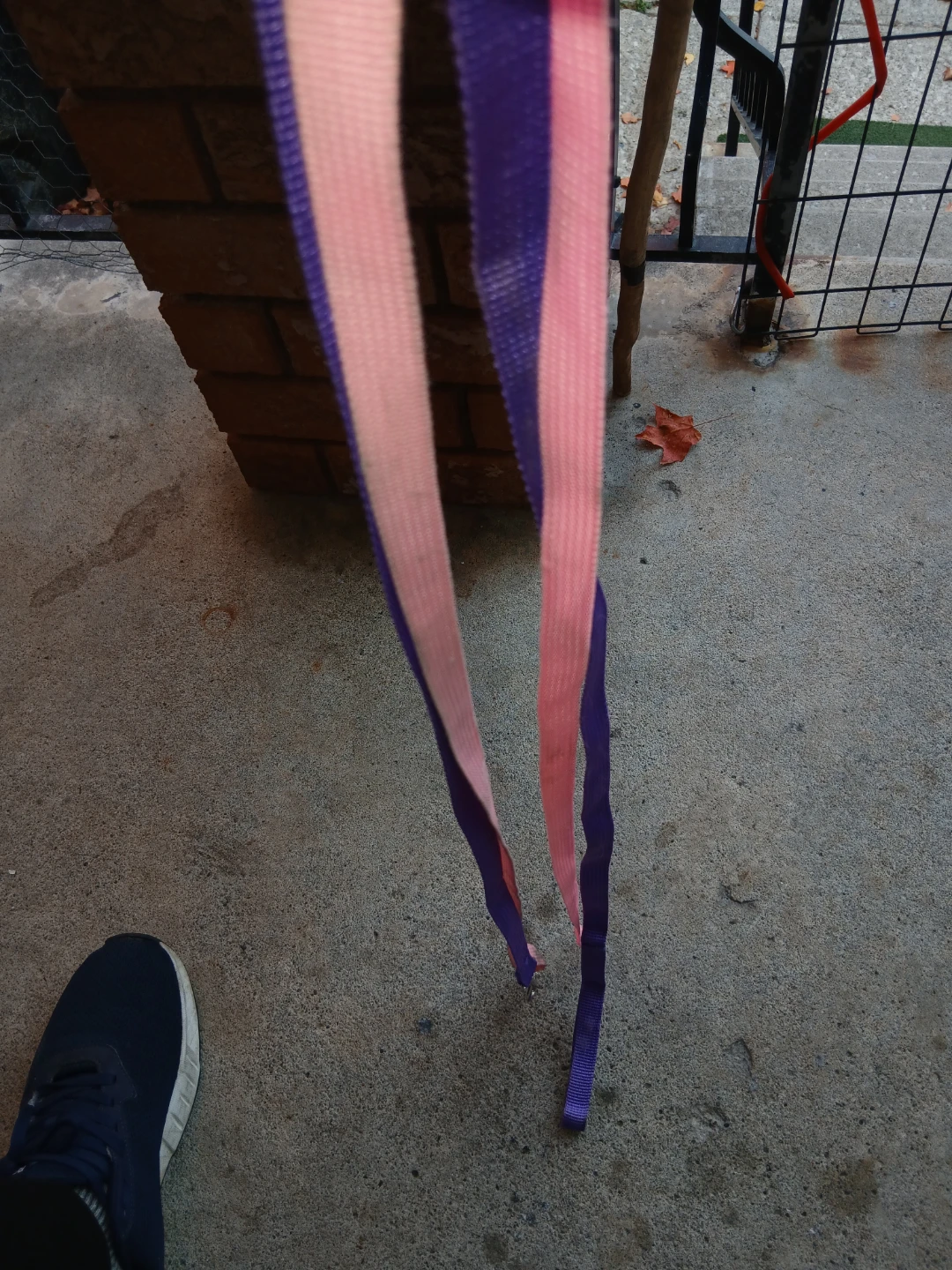 Two Nylon Dog Leashes - photo 3