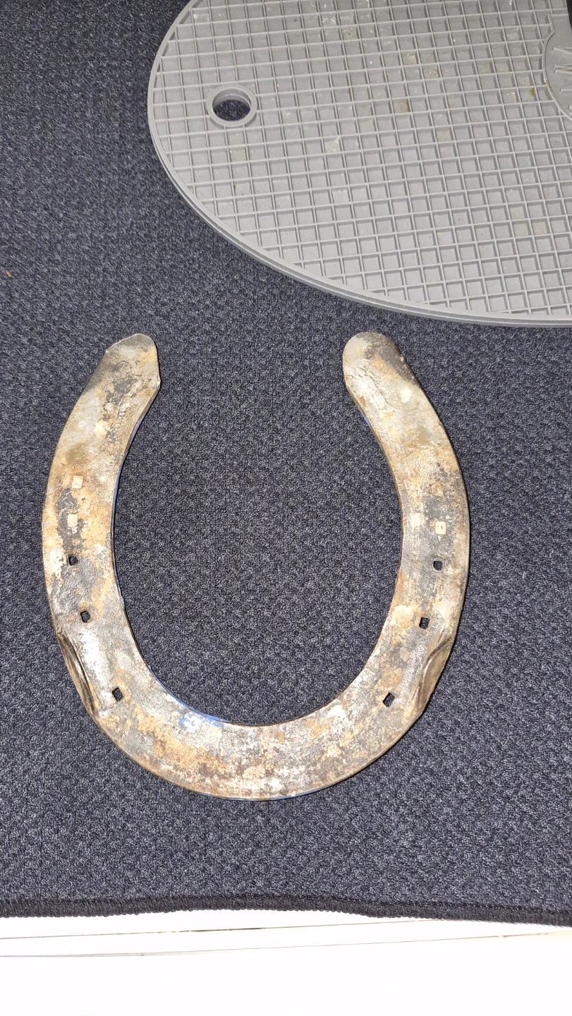 Lucky charms horseshoe - photo 4