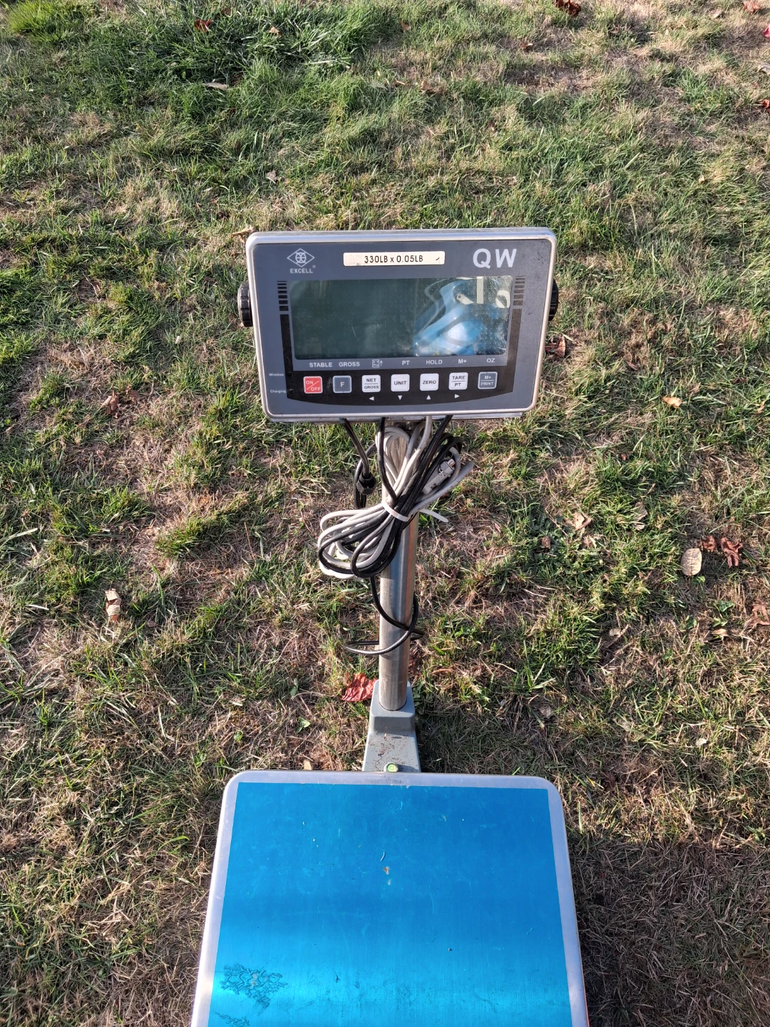 Excell QW Digital Platform Scale