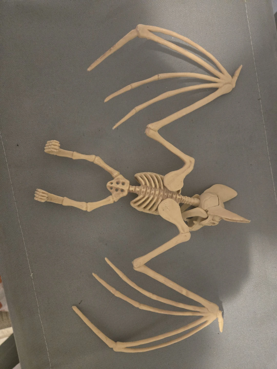 Bat Skeleton Halloween Decoration - photo 3
