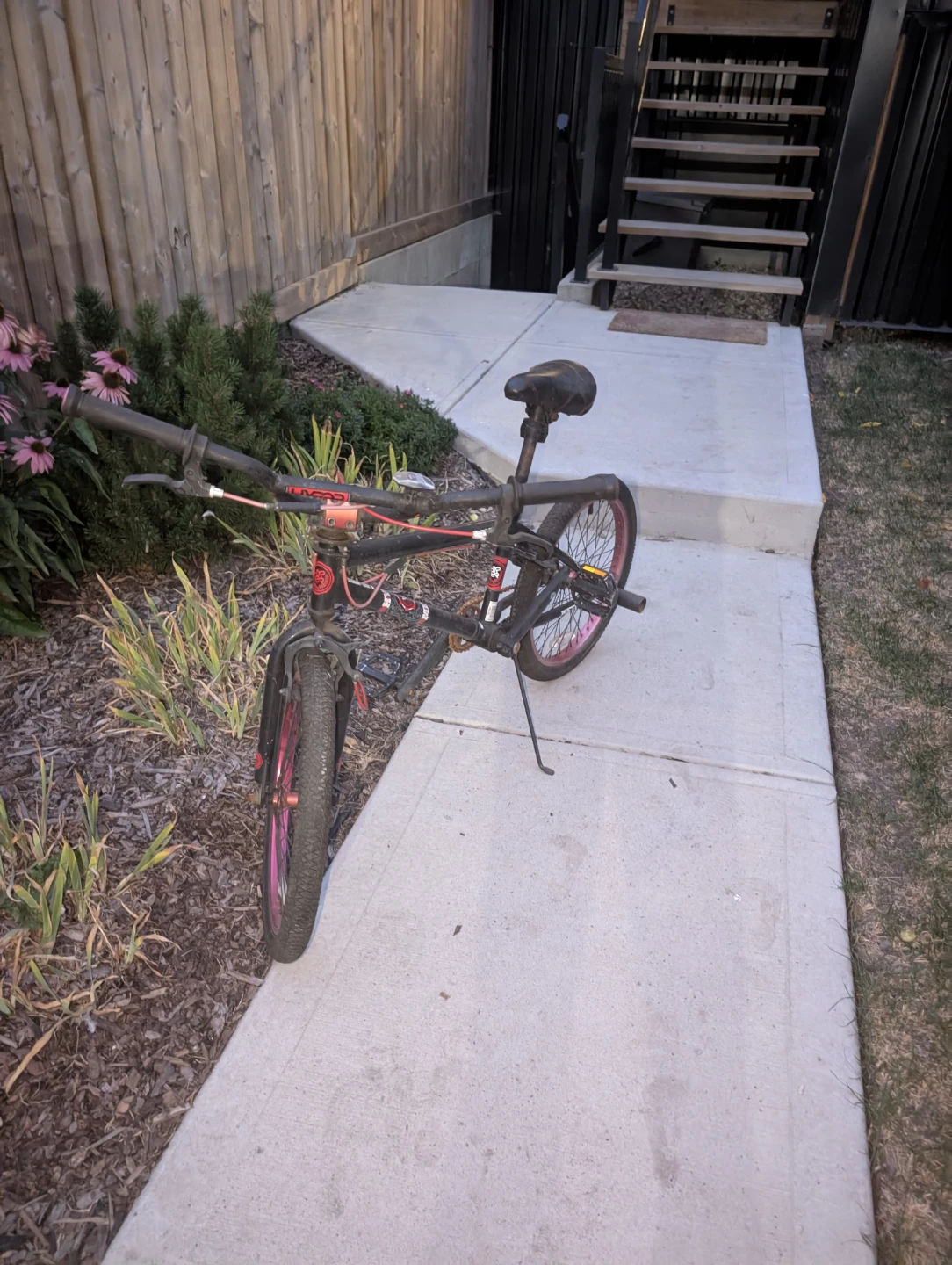 bmx - photo 5
