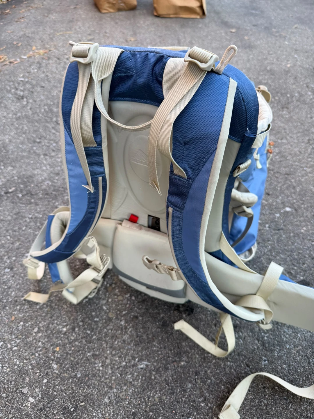 Kelty Kids Blue Child Carrier Backpack
