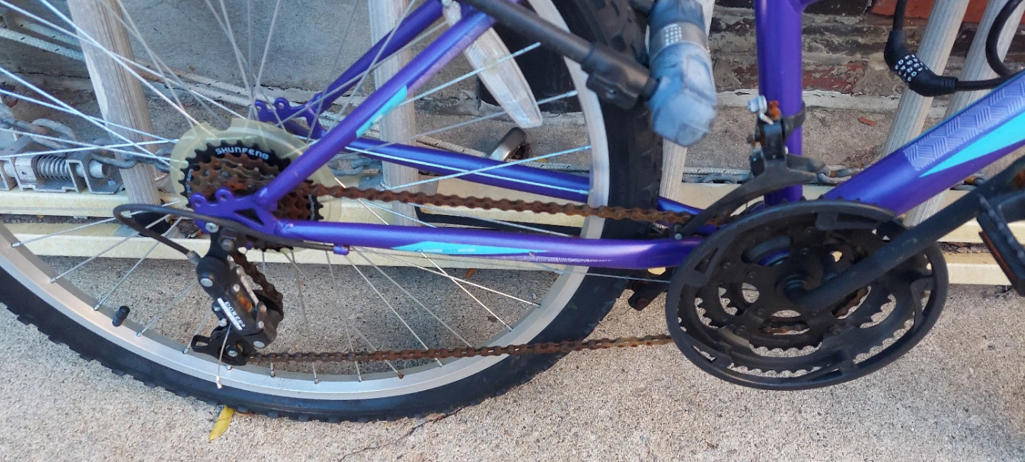 Movelo Algonquin Mountain Bike - photo 3