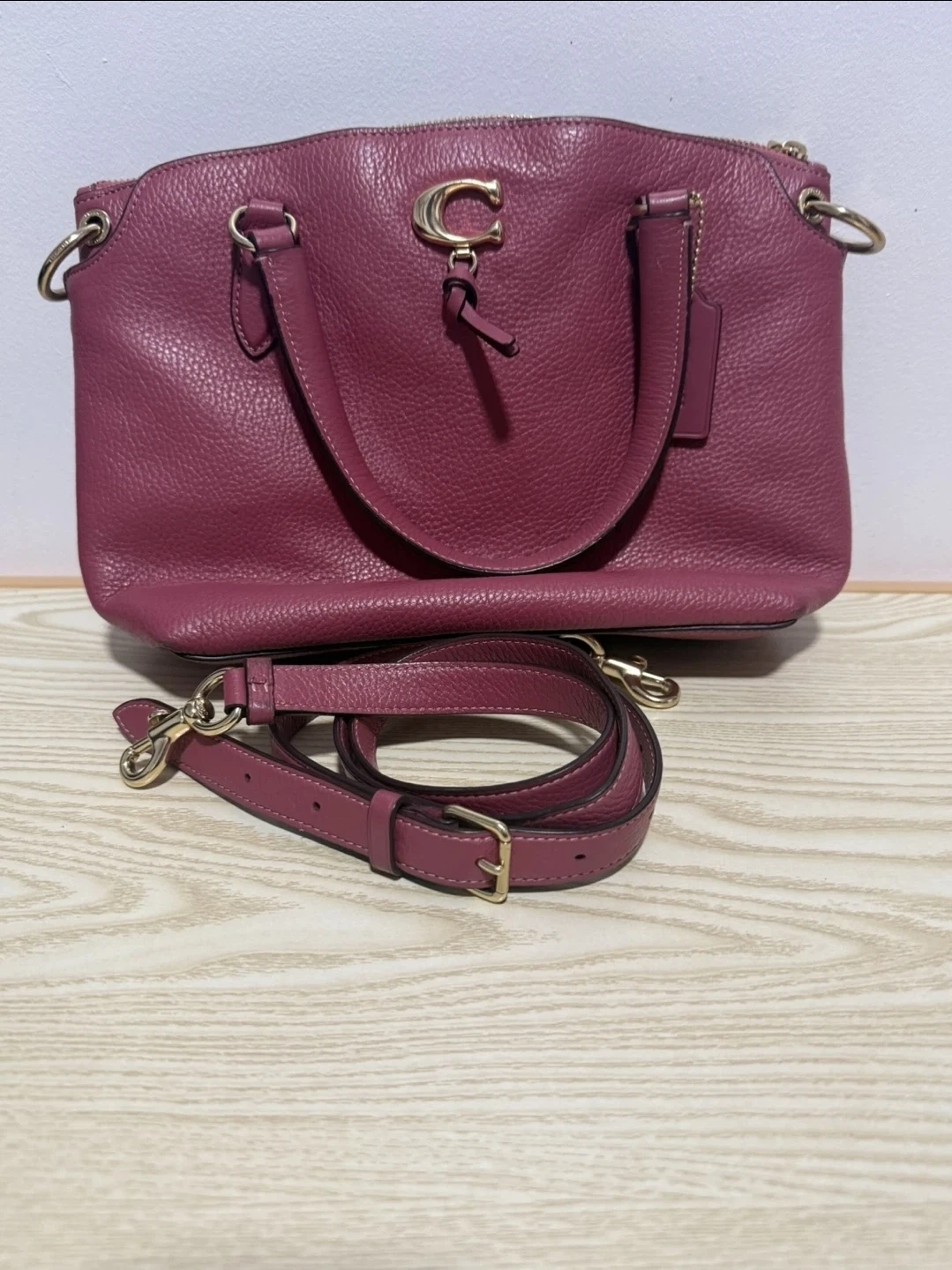 🥕Coach Berry Leather Handbag