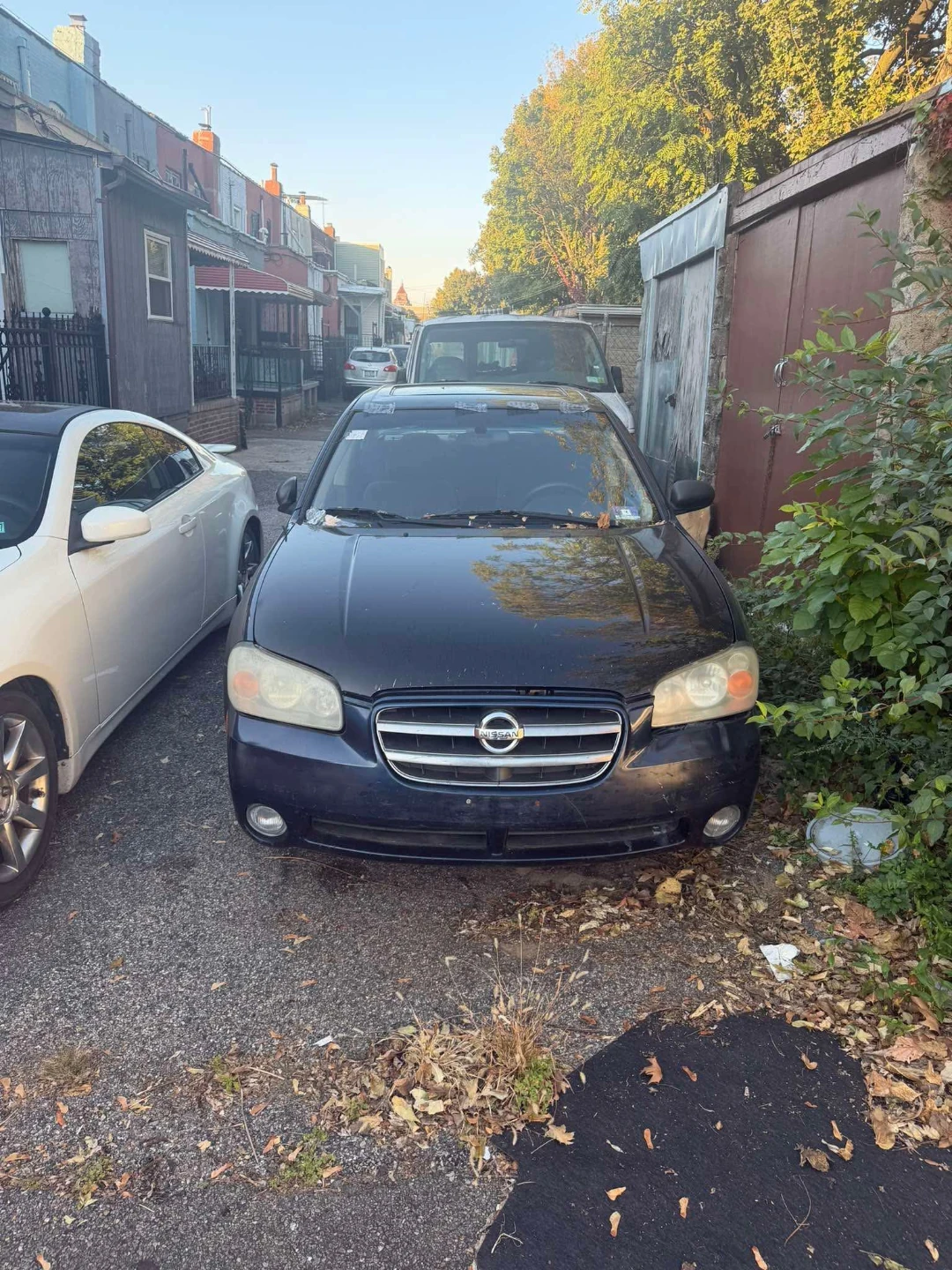 2003 Nissan Maxima Classic - photo 4