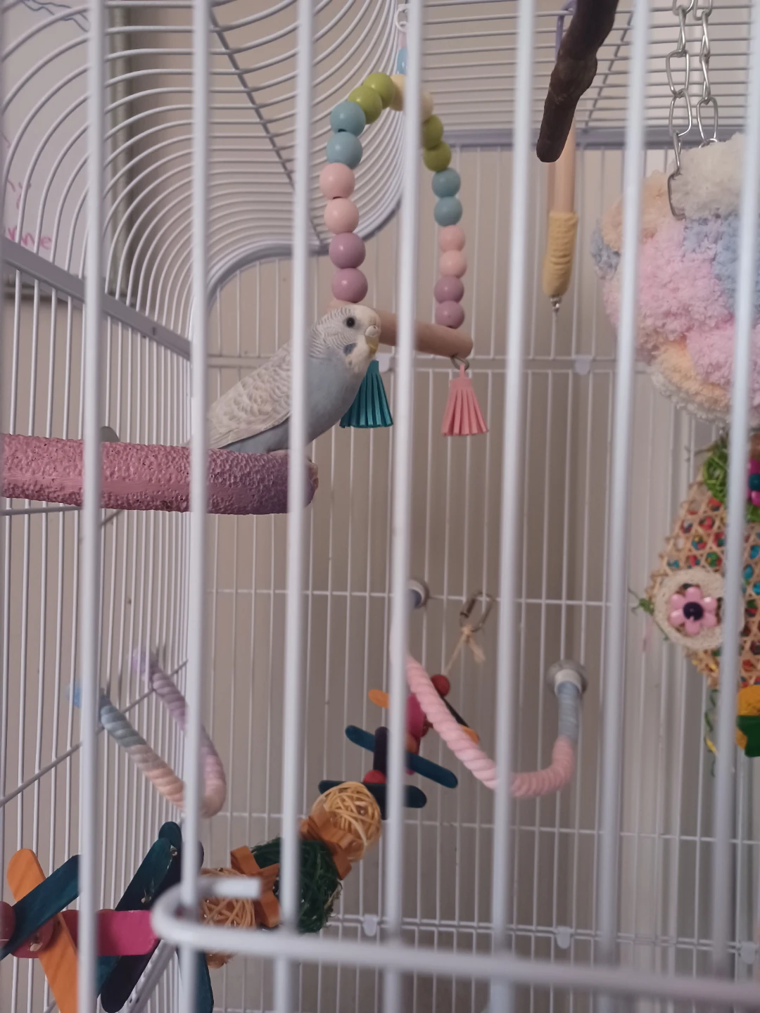 2 budgies , Large White Bird Cage with Assorted Toys - photo 2