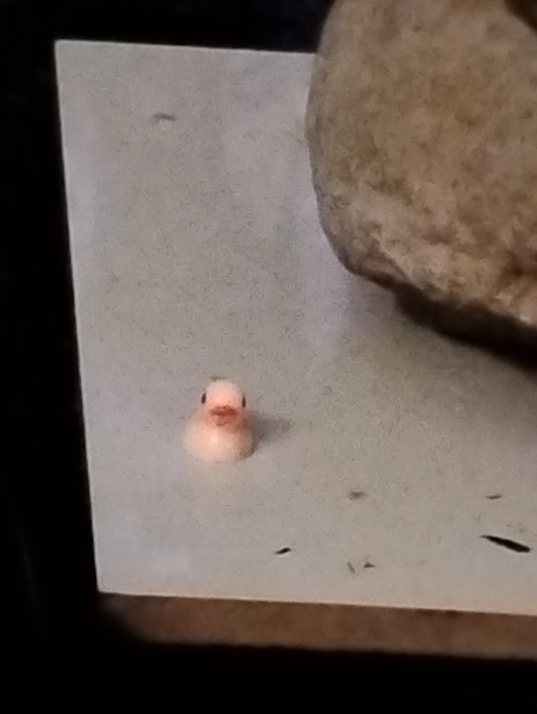 Tiny miniature rubber duck