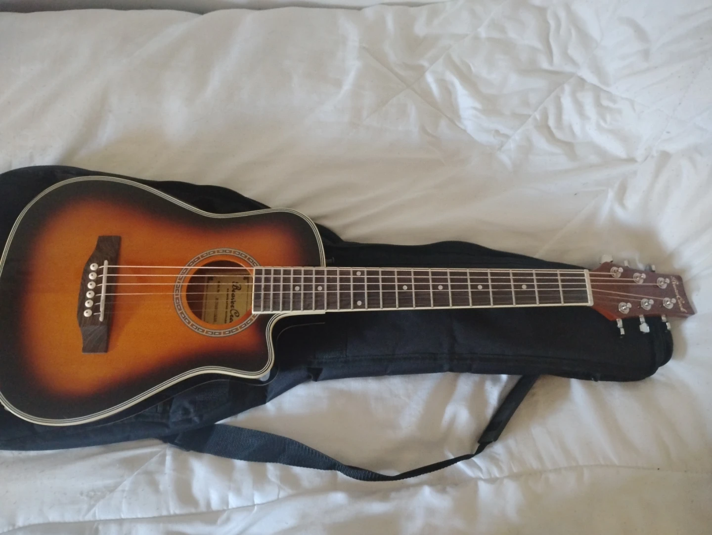Beaver Creek Acoustic-Electric Guitar
