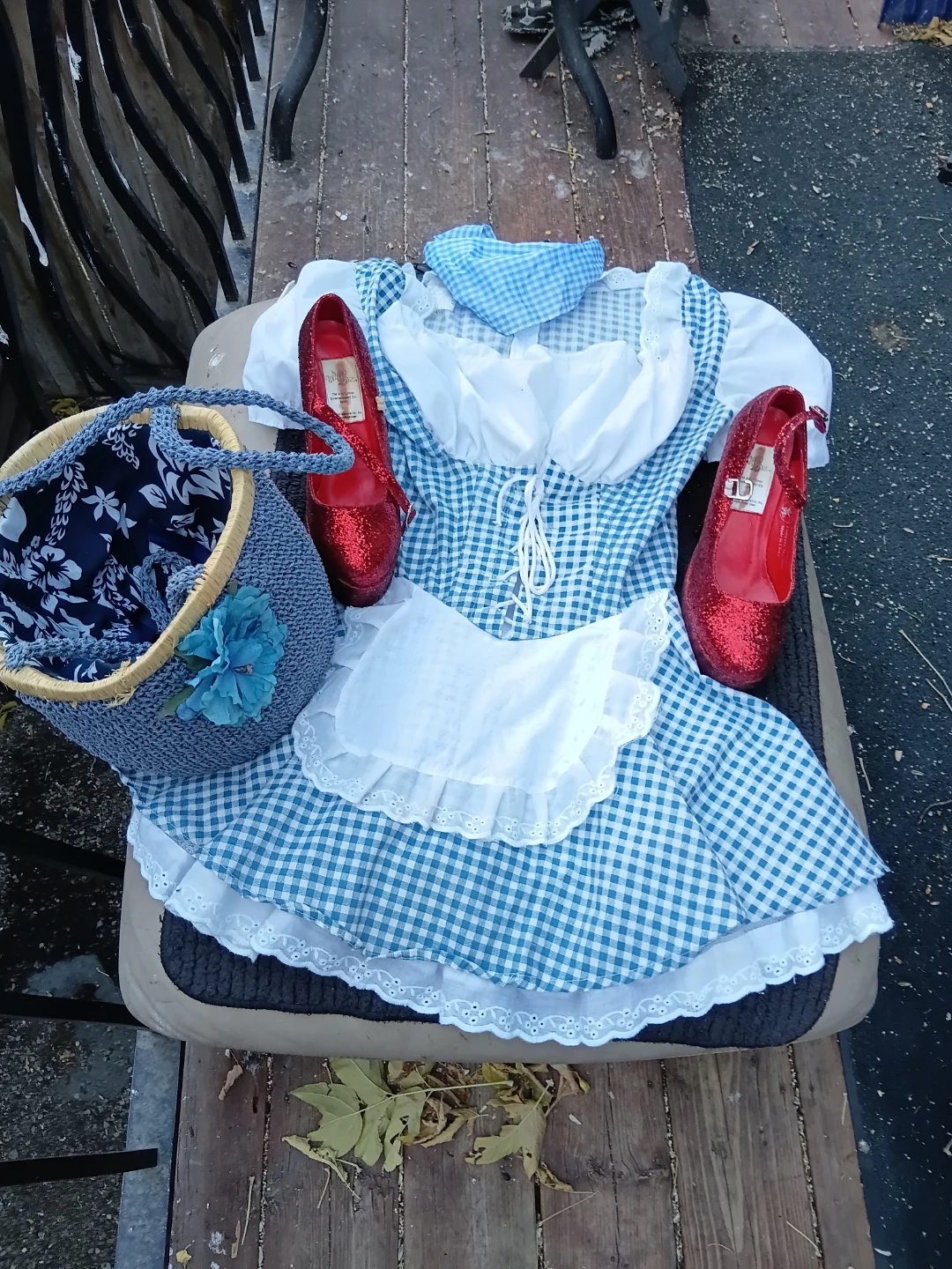 Halloween Dorothy Costume Set with Red Sparkly Shoes