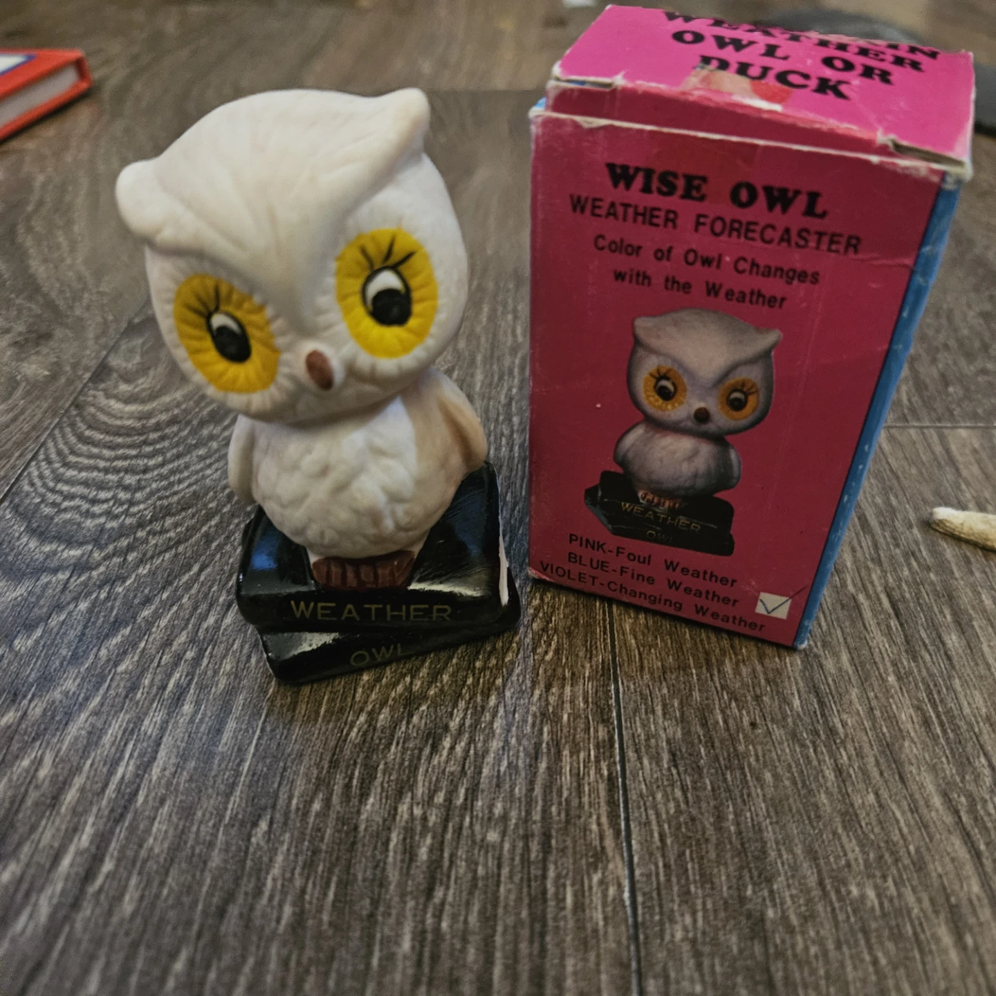 Vintage Wise Owl Weather Forecaster with Box