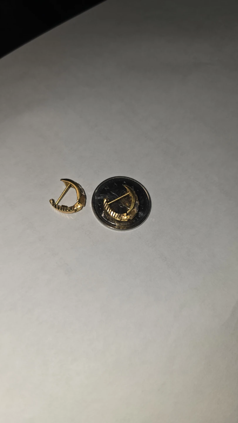 21k gold loop earrings