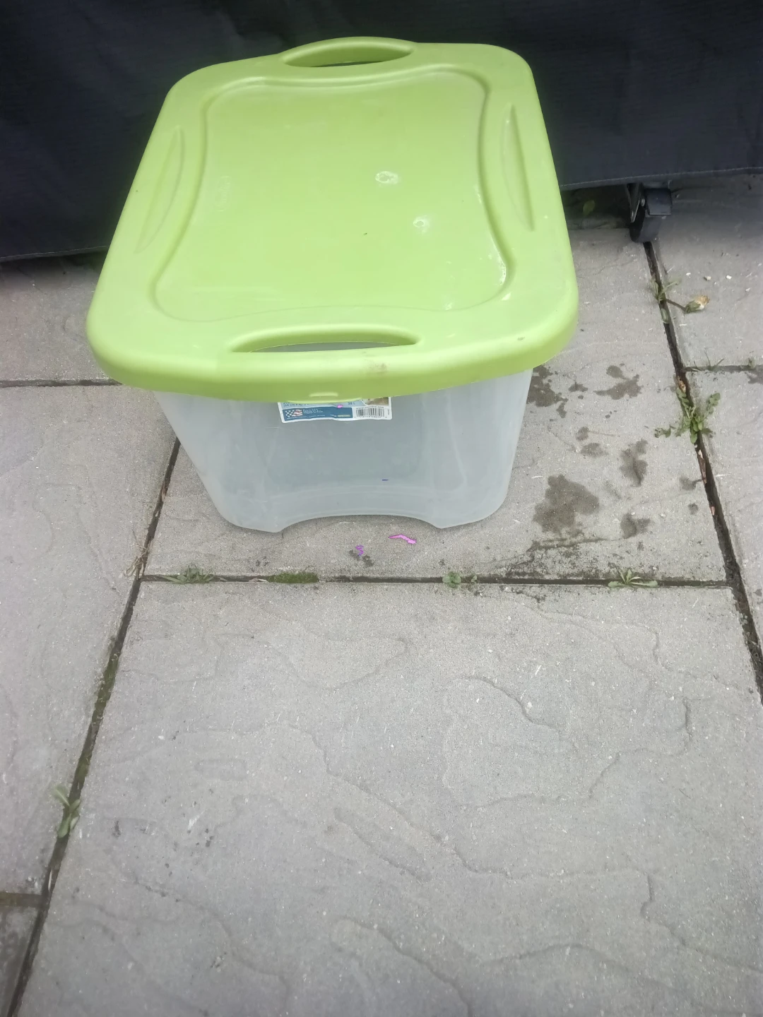 Sterilite 38L EZ Carry Storage Bin
