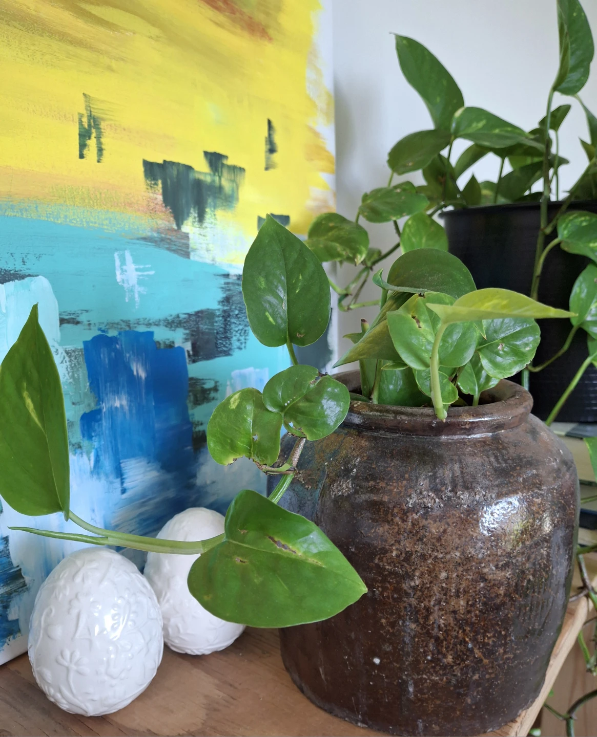 Rustic Ceramic Planter with Pothos Plant - photo 2
