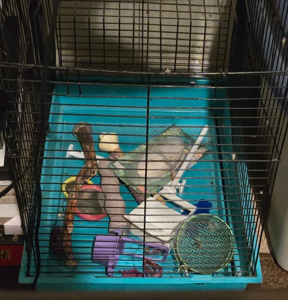 Small bird/ animal cage with accessories