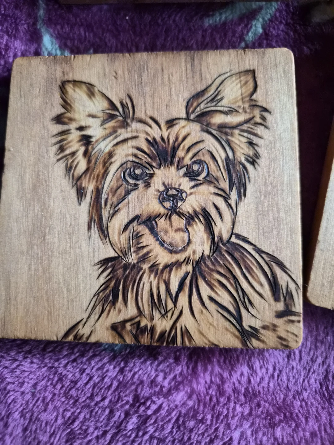 Hand-Burned Wooden Pet Coasters - photo 5