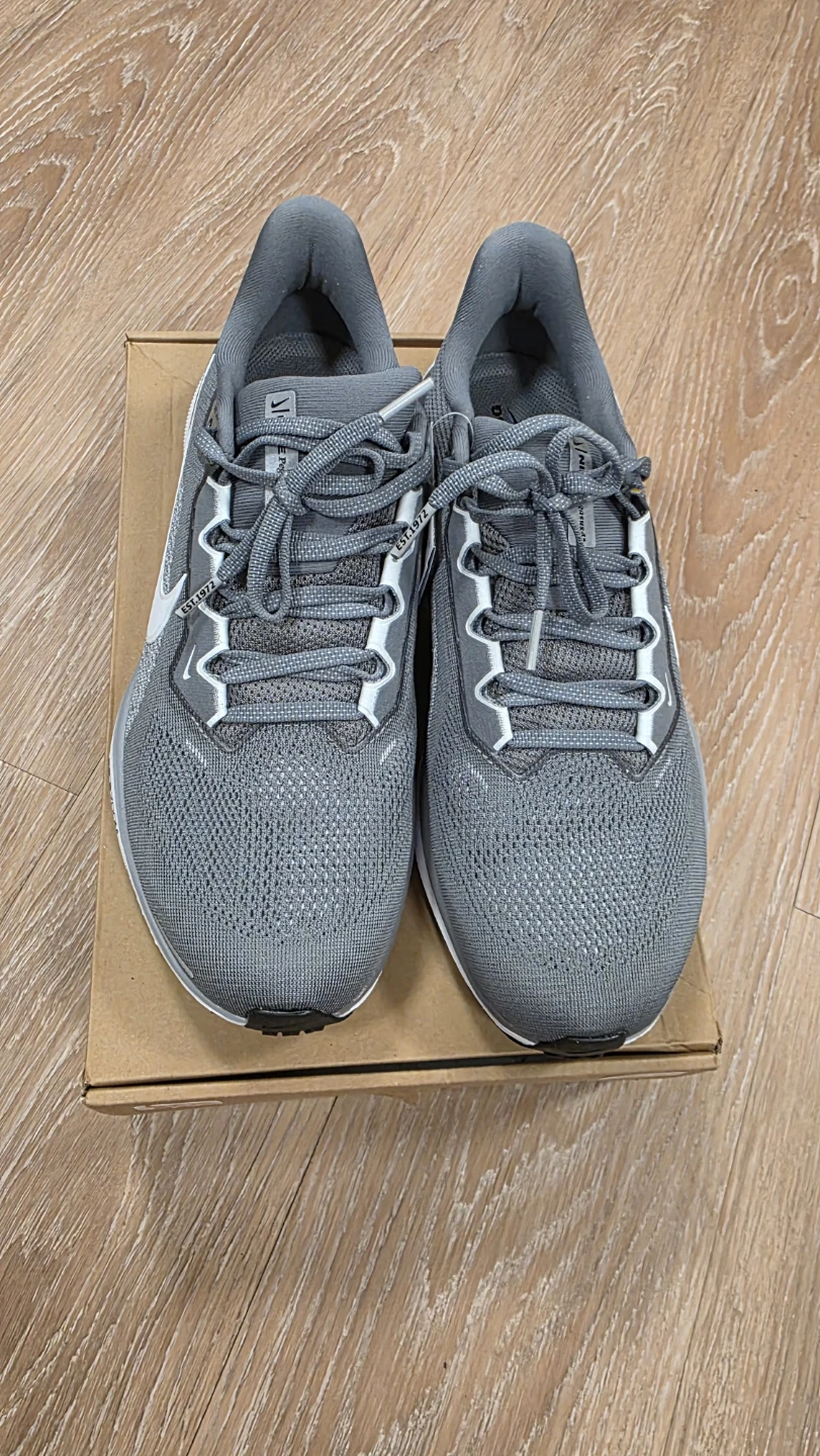 Nike Air Zoom Pegasus 41 Grey Men's Size 10