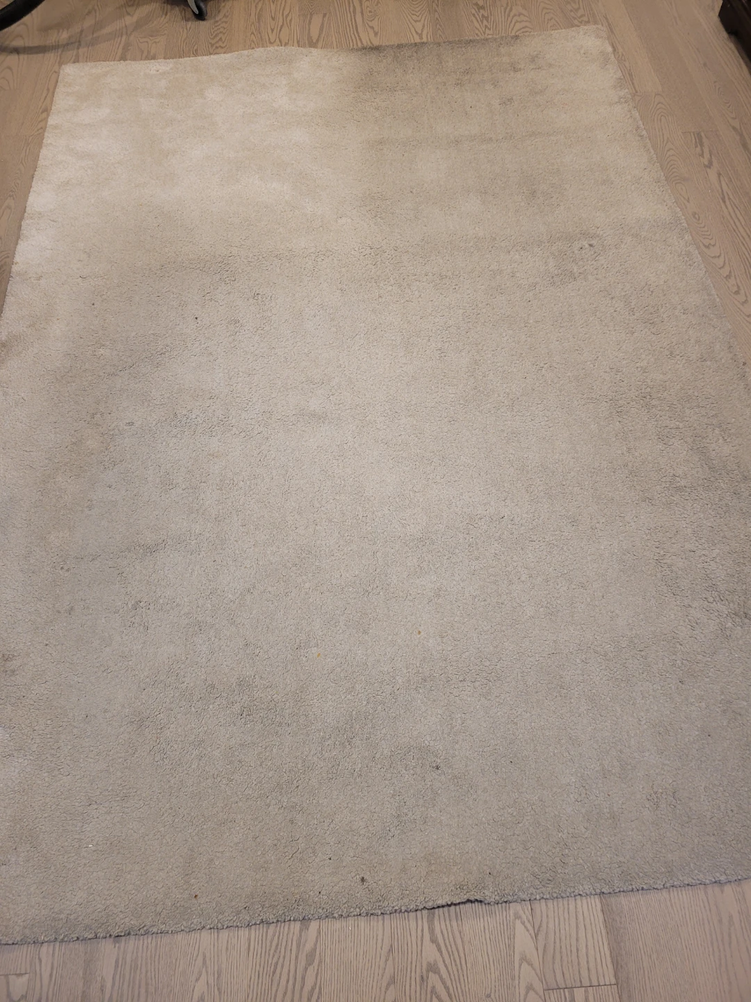 Ikea area rug