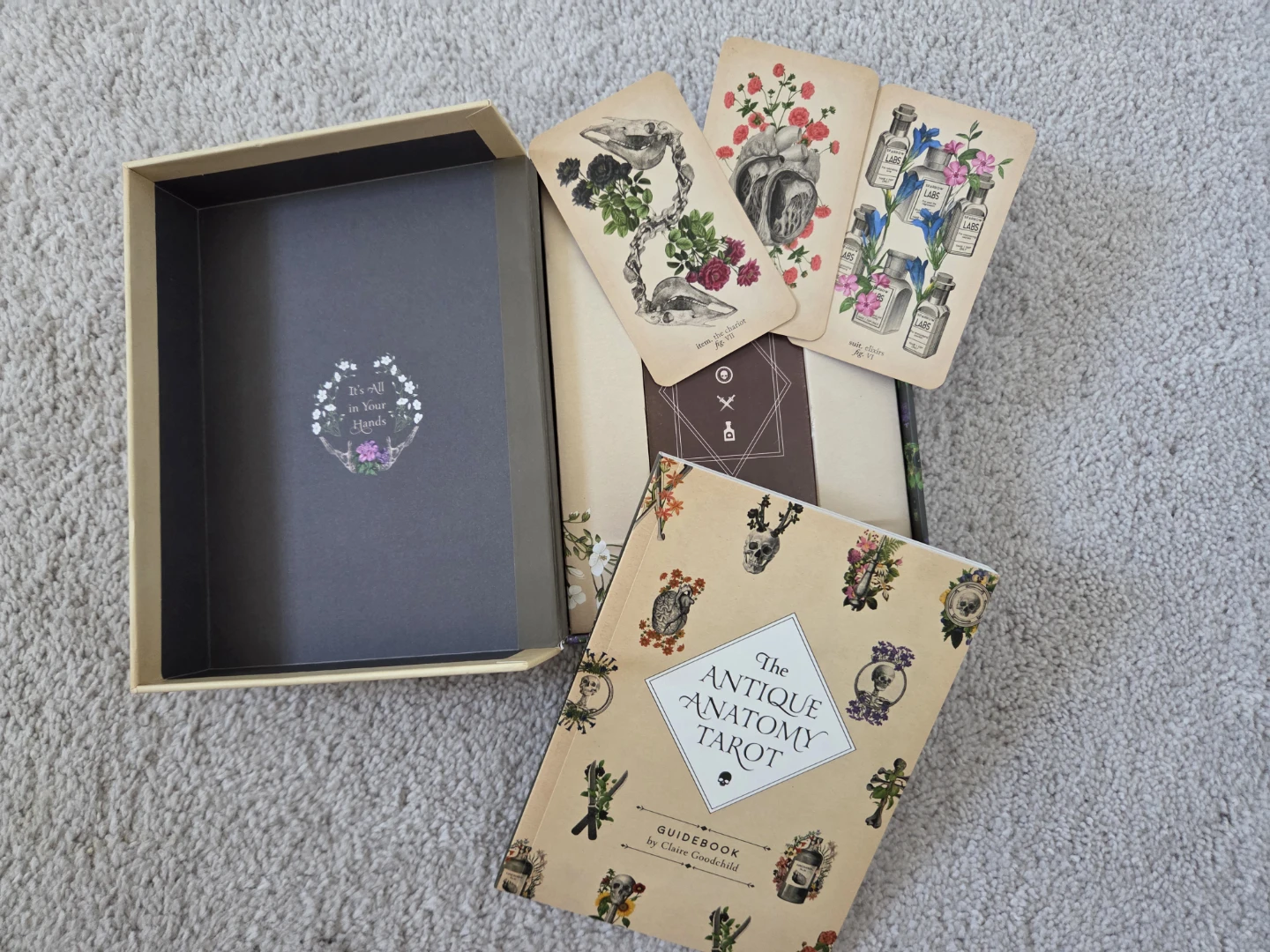 The Antique Anatomy Tarot Deck & Guidebook - photo 3