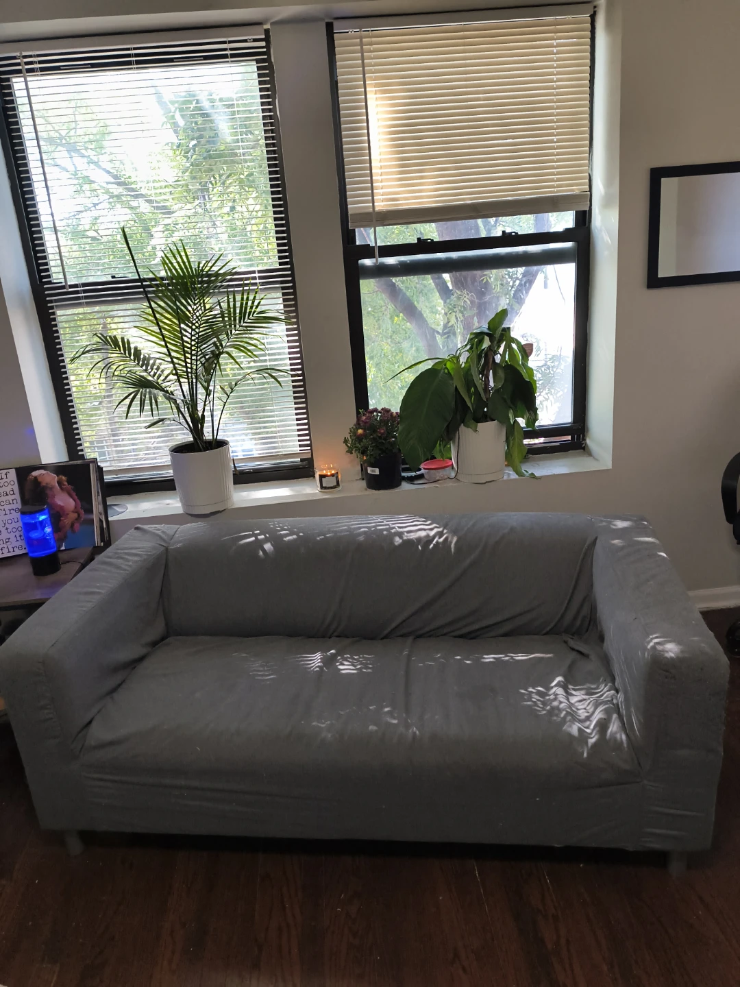 Gray Sofa (removable cover)