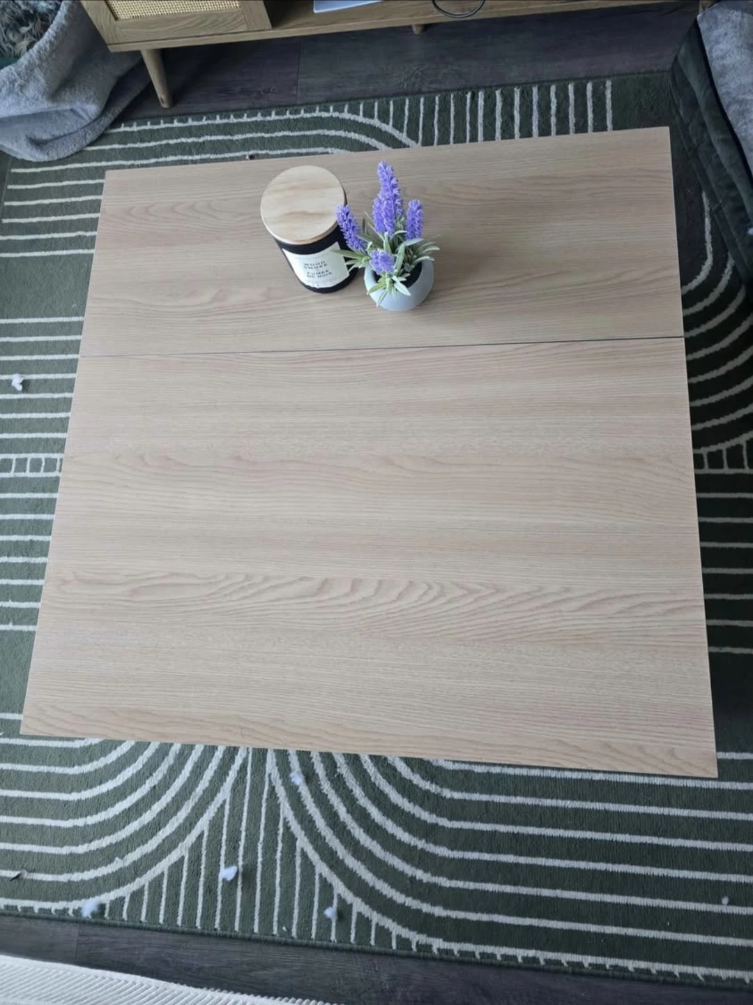 Lift-top Coffee Table w/ Storage (NEED GONE ASAP)