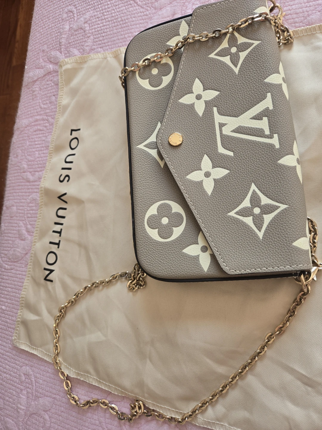 Louis Vuitton Felicie Pochette