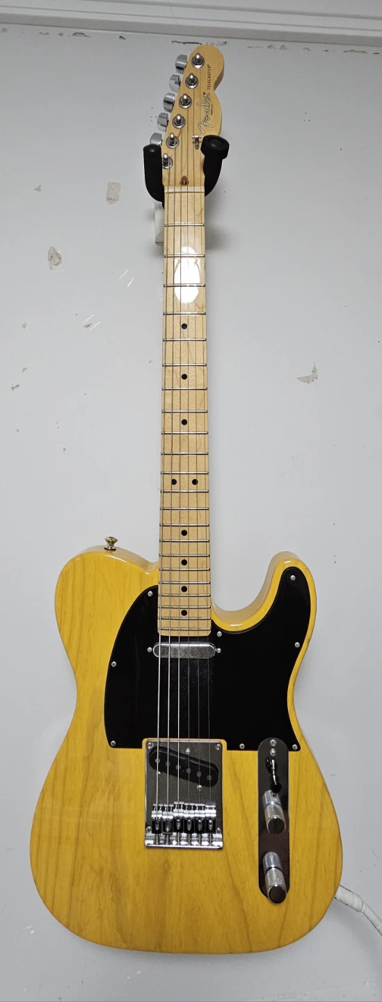 Fender American Pro Telecaster - photo 4