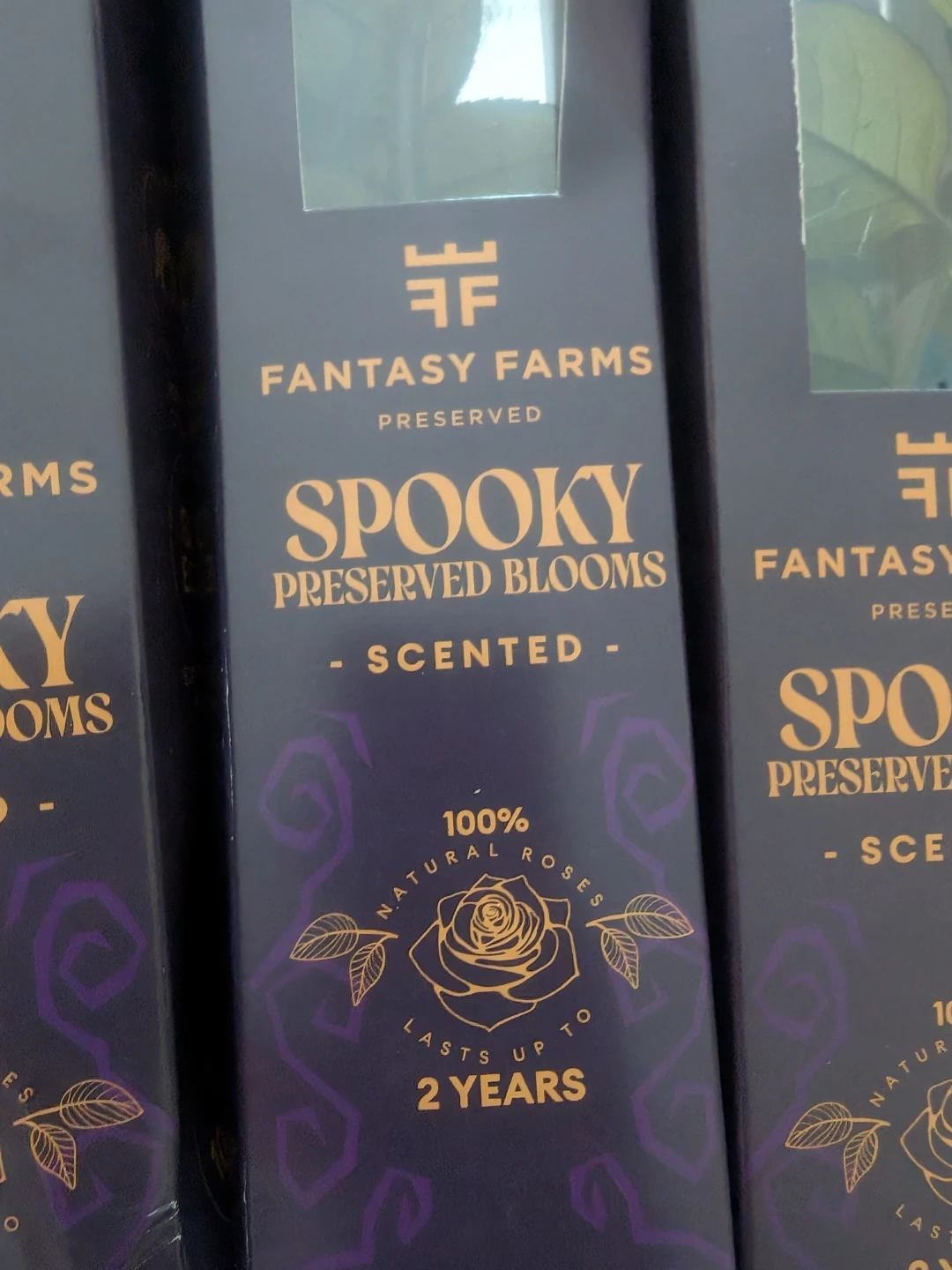 Fantasy Farms Spooky Preserved Blooms - photo 3