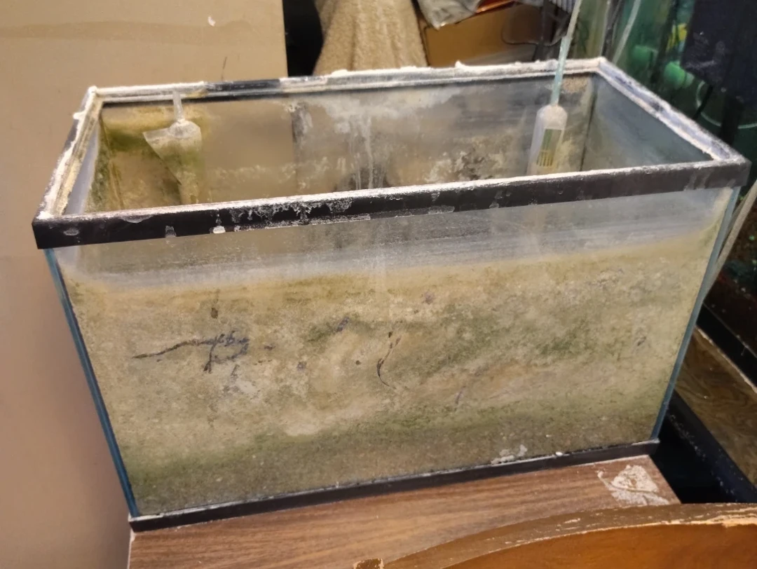 10 Gal Glass aquarium with gravel and accessories - photo 2