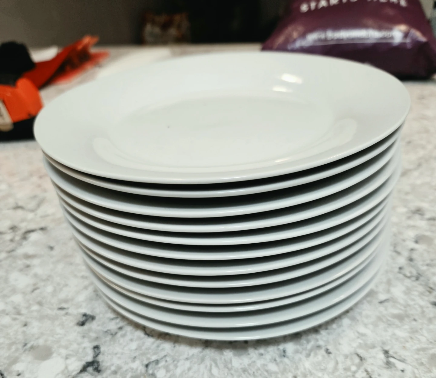 A Dozen White Plates