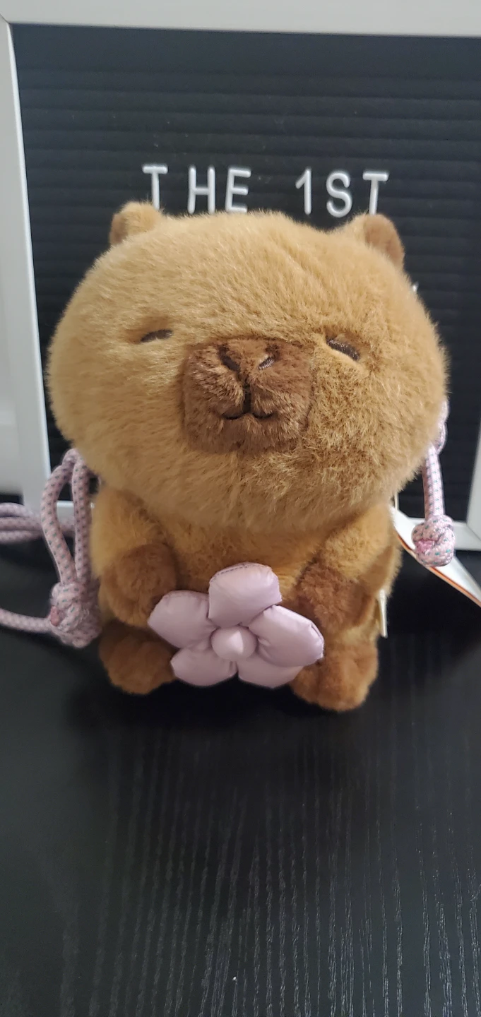 ZARA Capyfun Plush Mini Bag