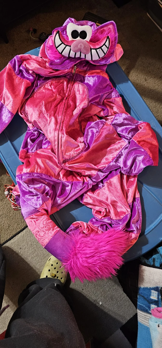 Costumes - photo 5