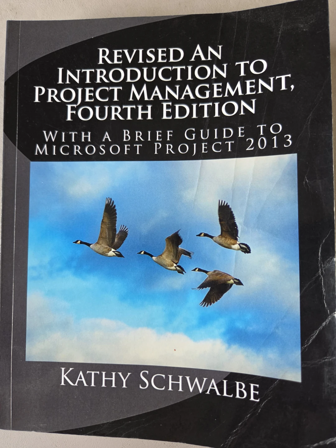 Revised An Introduction to Project Management, 4th Edition