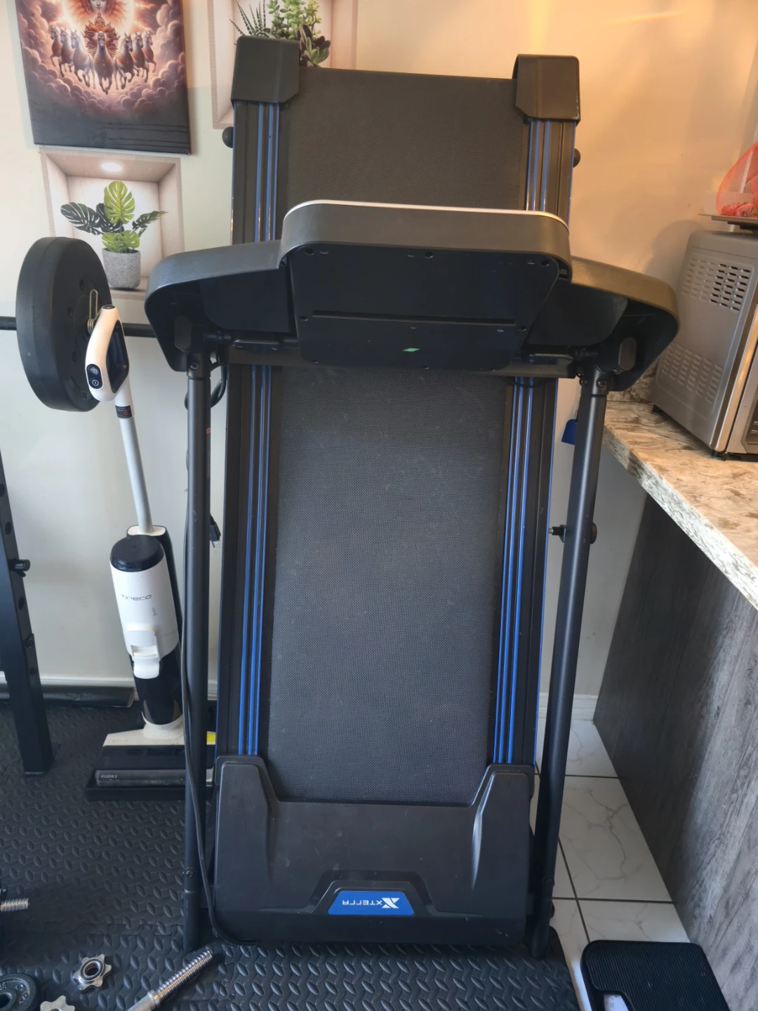 Xterra Folding Treadmill