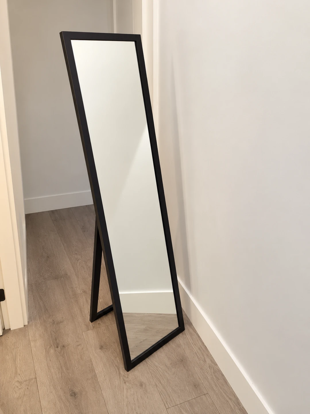Black Standing Floor Mirror