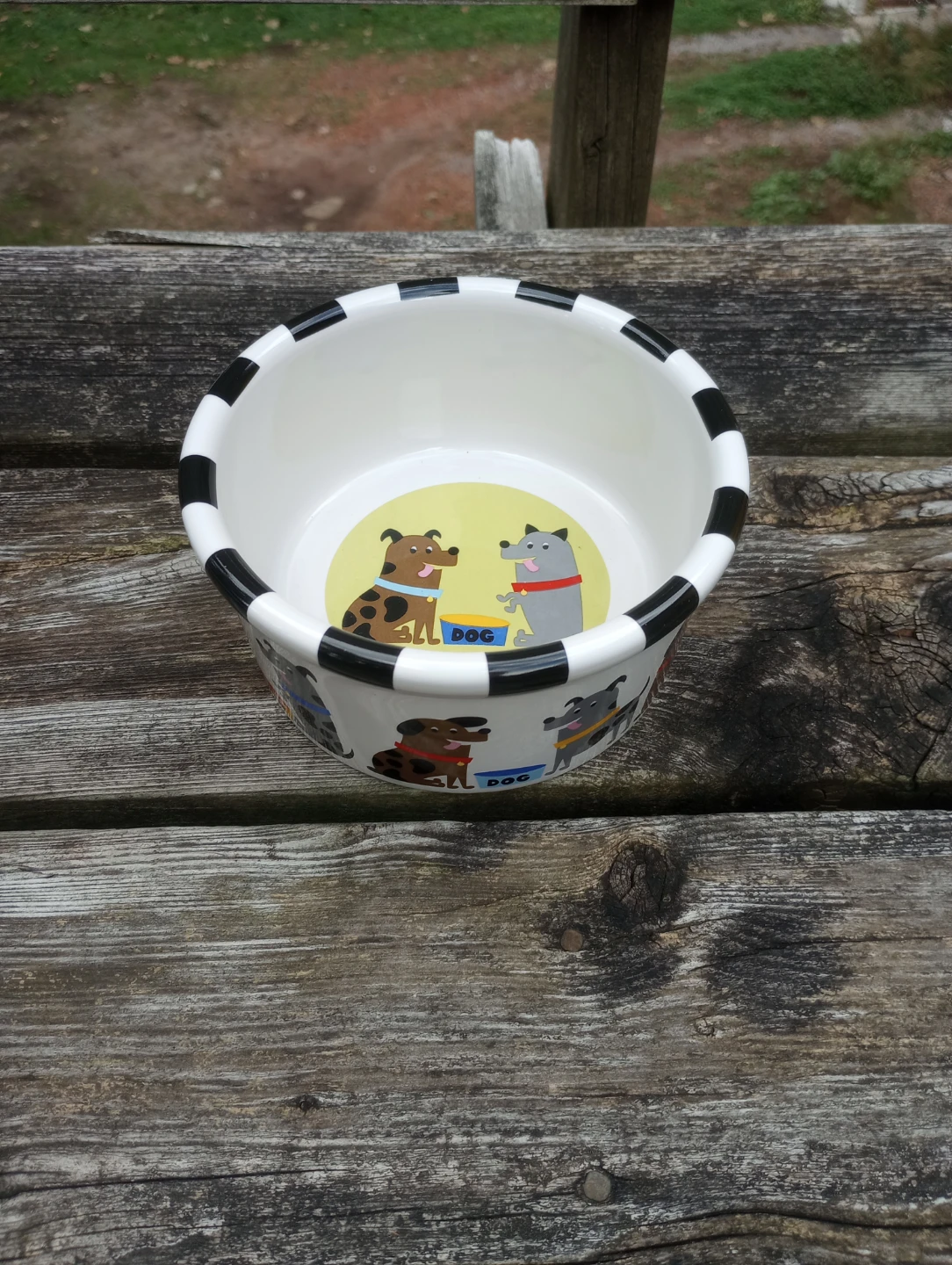 Single Ceramic Pet Bowl
