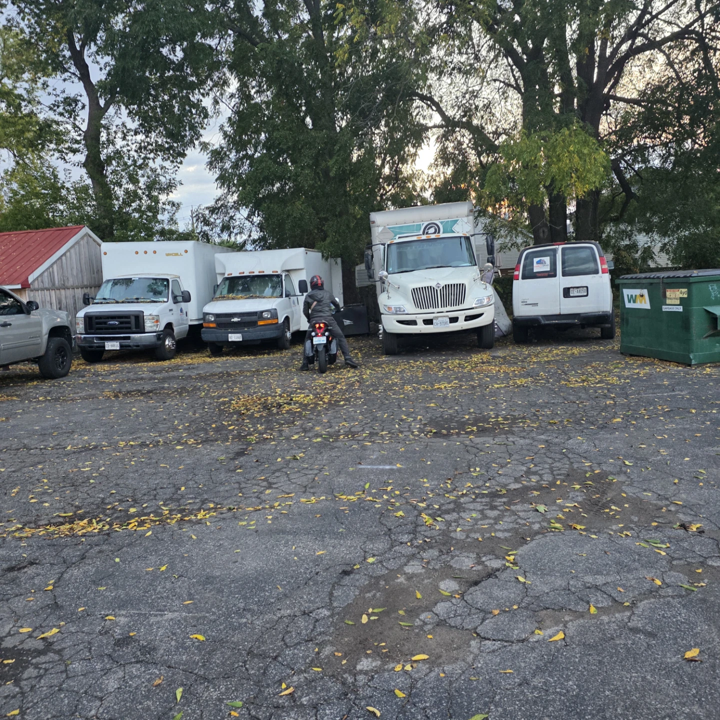 Professional Moving Services - Domikys Group Inc. - photo 5