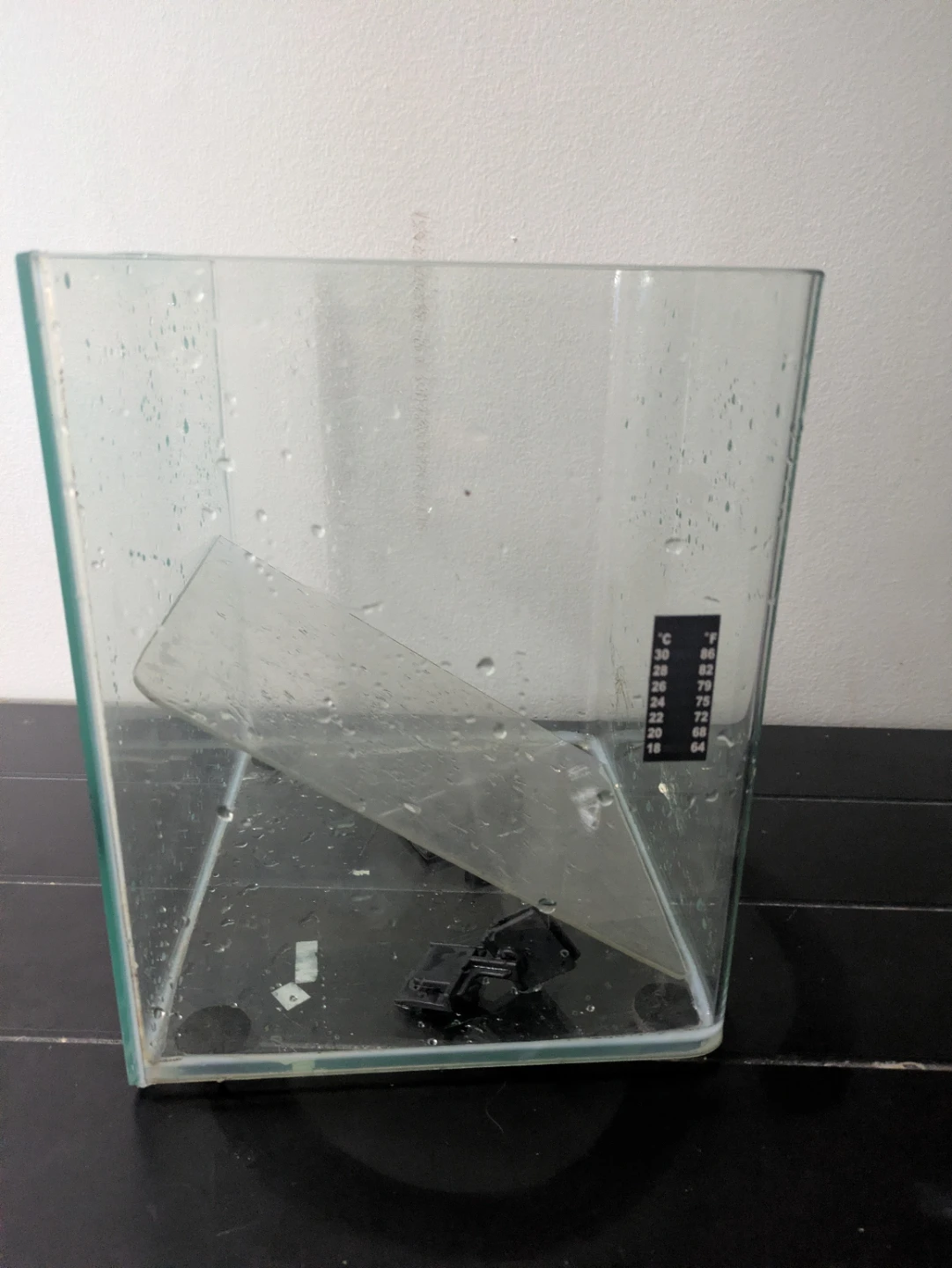 Free 5g tank - photo 2