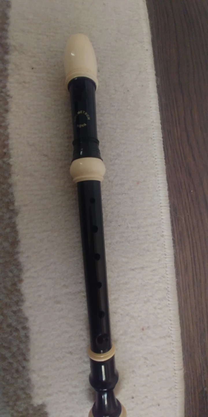 Dolmetsch nova plastic recorder