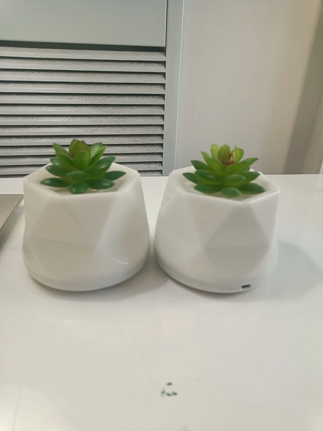 Set of Two LED Succulent Decorative color changing Lights - photo 3