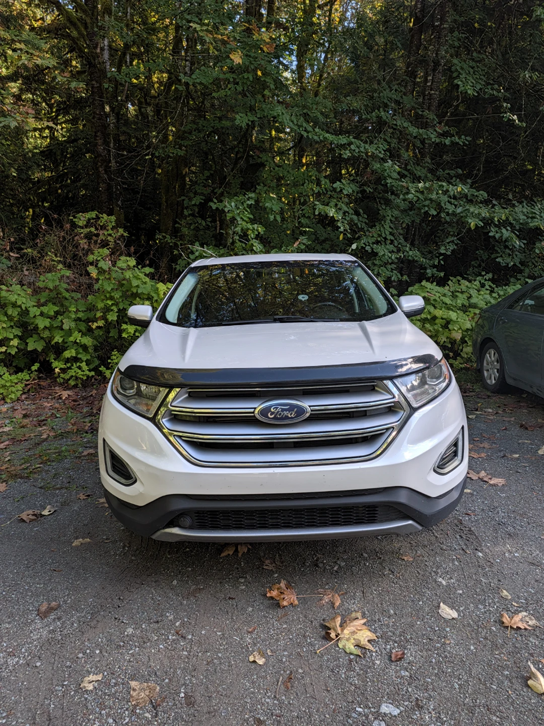 Ford Edge - photo 4