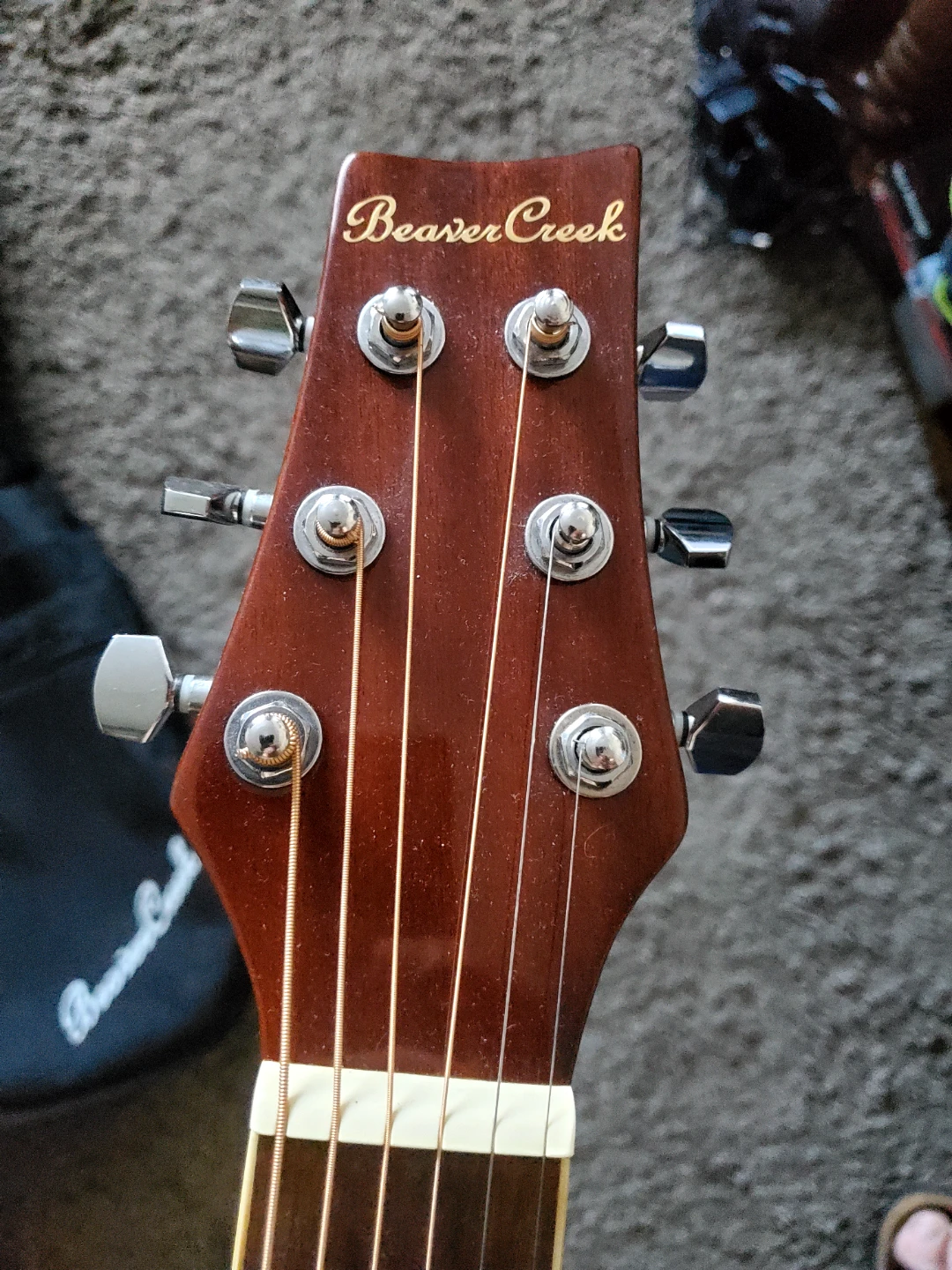 Beaver Creek Acoustic-Electric Guitar - photo 2