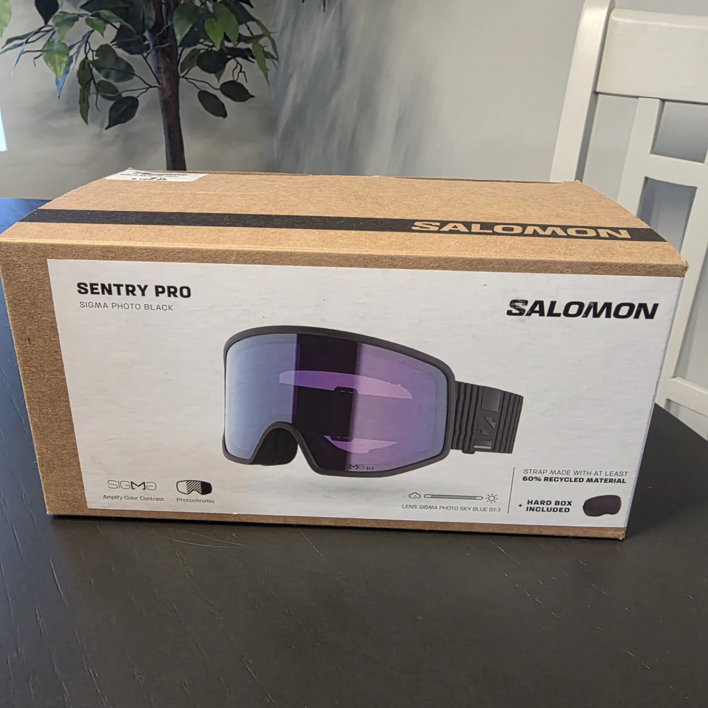 Salomon Sentry Pro Ski Goggles