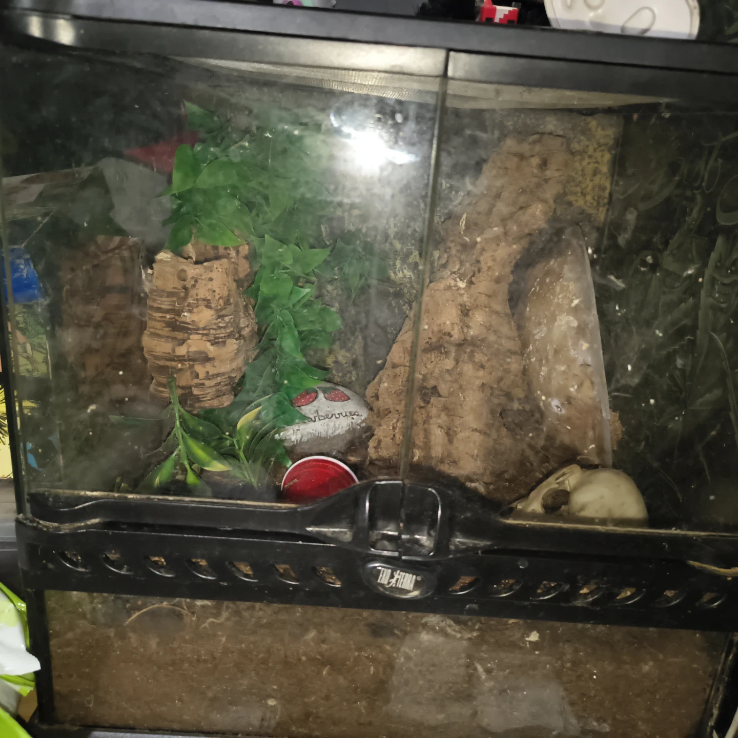 Exo Terra Glass Terrariums with Decor and 30gal tank - photo 3