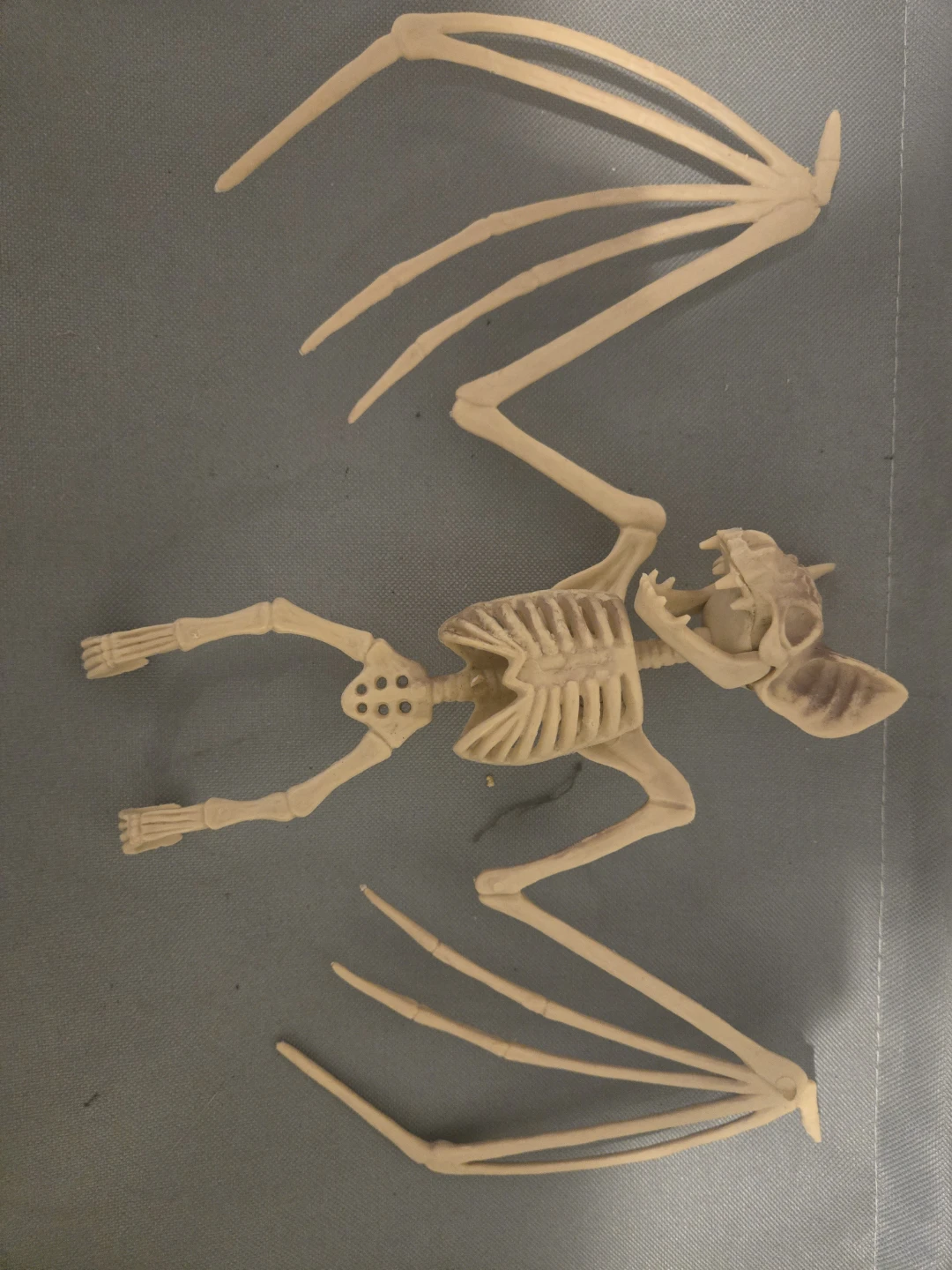 Bat Skeleton Halloween Decoration - photo 2