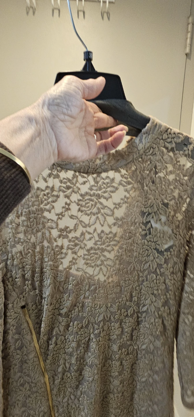 ABS Allen Schwartz Beige Lace Dress - photo 5