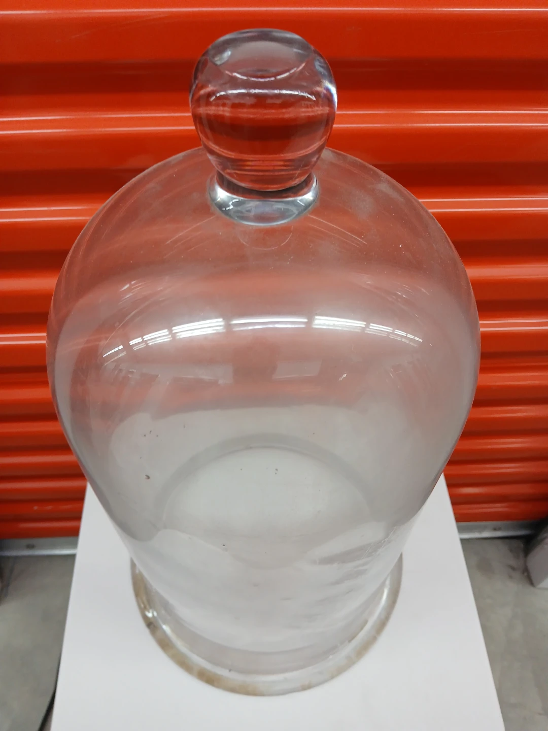 18"×10" Clear Glass Cloche Display Dome - photo 5