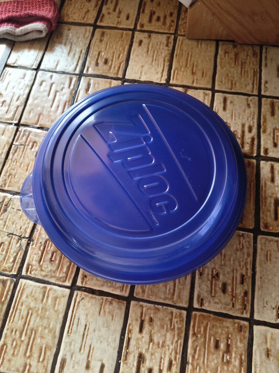 4 Ziploc Blue Food Storage Lid and Plates - photo 4