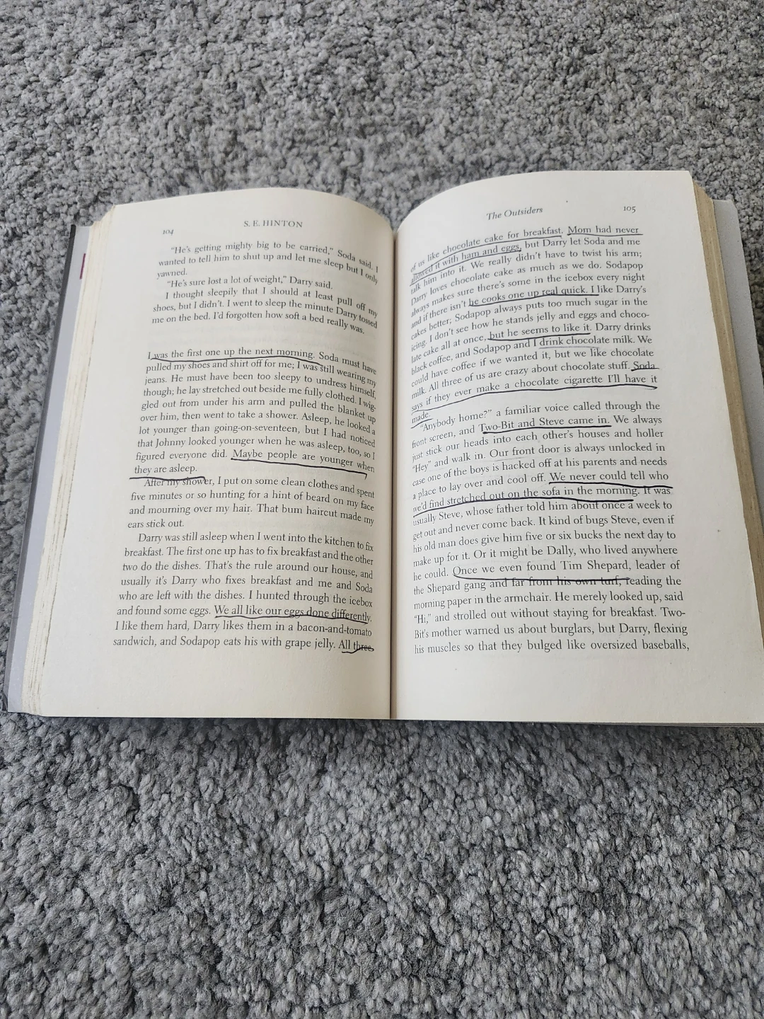 The Outsiders by S.E. Hinton - photo 2
