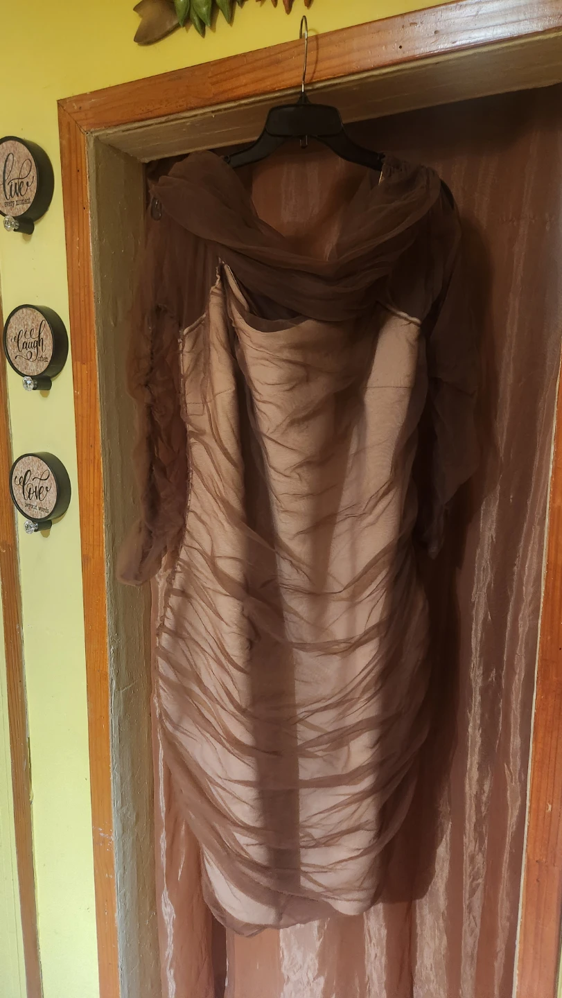 Ruched Overlay Dress Brown Size 1X